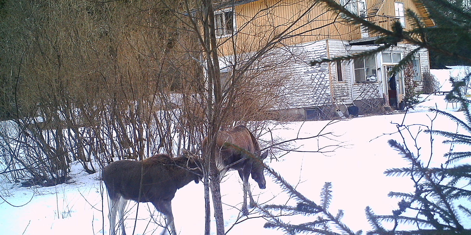 Working at the ‘studio’ in Inkoo 2012